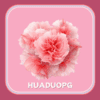 Logo da HUADUOPG